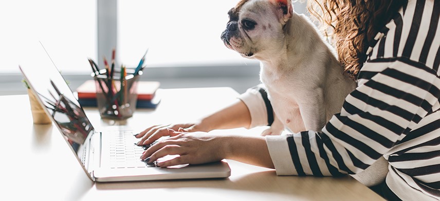 woman with dog typing on laptop