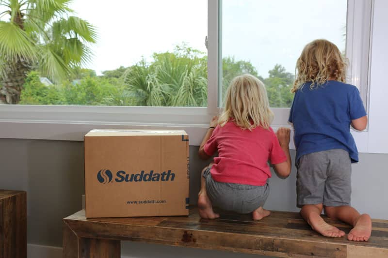 boys looking out window with moving box