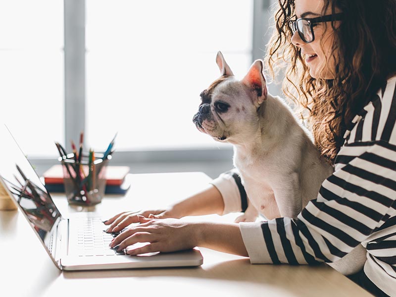 woman typing on laptop at desk with dog